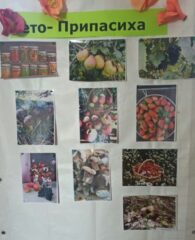 Выставка "Лето-Припасиха"